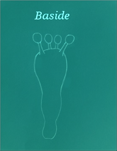Schéma d'une baside portant quatre spores