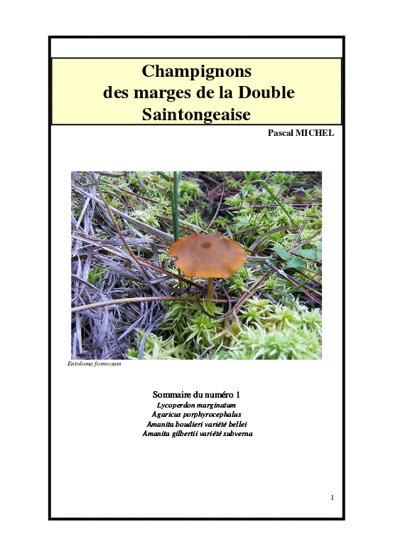 Couverture du bulletin n° 1 — Champignons des marges de la Double Saintongeaise
