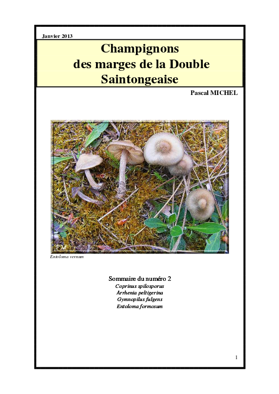 Couverture du bulletin n° 2 — Champignons des marges de la Double Saintongeaise