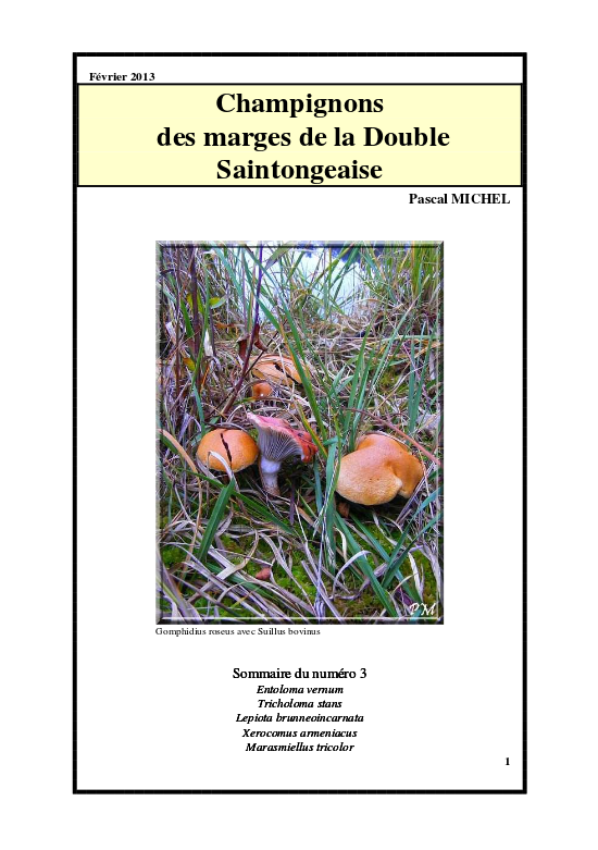Couverture du bulletin n° 3 — Champignons des marges de la Double Saintongeaise