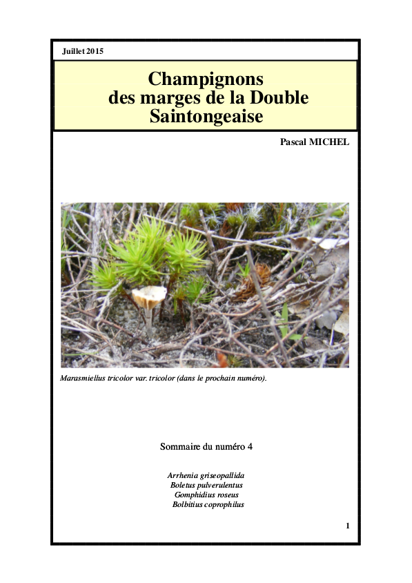 Couverture du bulletin n° 4 — Champignons des marges de la Double Saintongeaise