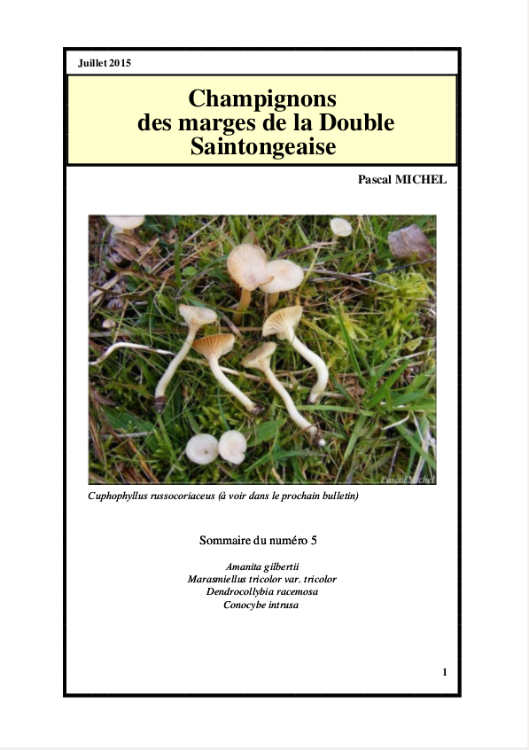 Couverture du bulletin n° 5 — Champignons des marges de la Double Saintongeaise